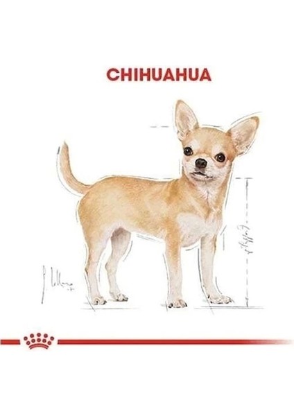 Royal Canin Chihuahua Adult Yetişkin Köpek Maması 1.5 kg