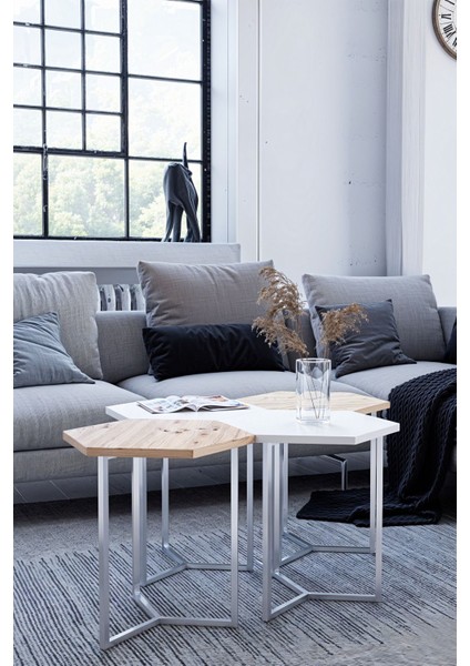 Hexa - Triad Orta Sehpa 4'lü Modül (45X45X45 Tek Modül Ölçüsü)