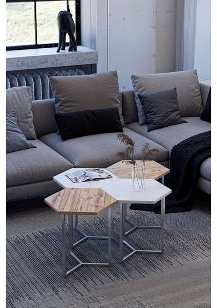 Hexa - Triad Orta Sehpa 4'lü Modül (45X45X45 Tek Modül Ölçüsü) fiyatları