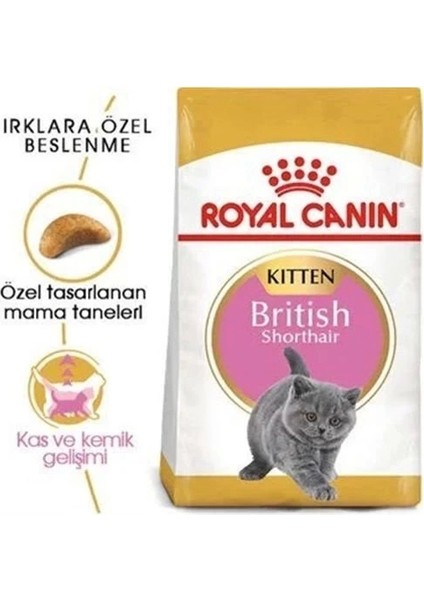 Royal Canin British Shorthair Kitten Yavru Kedi Maması 2 kg
