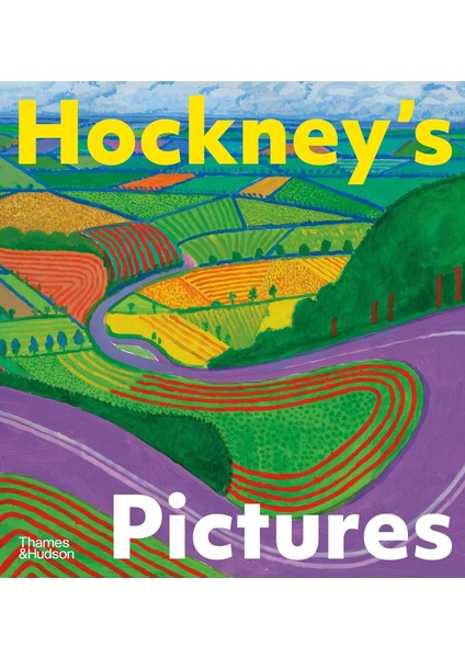 Hockney's Pictures
