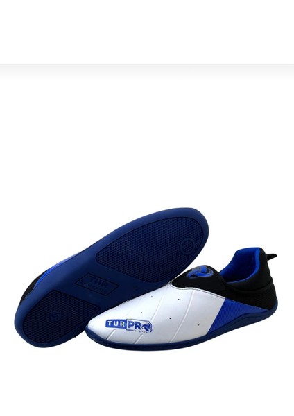 Taekwondo modelleri