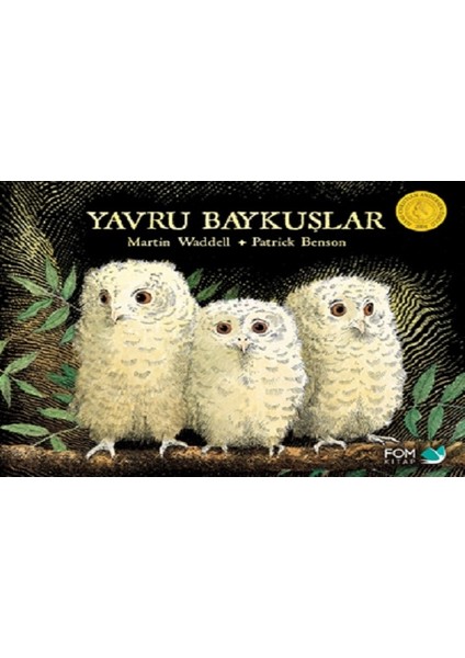 Yavru Baykuşlar