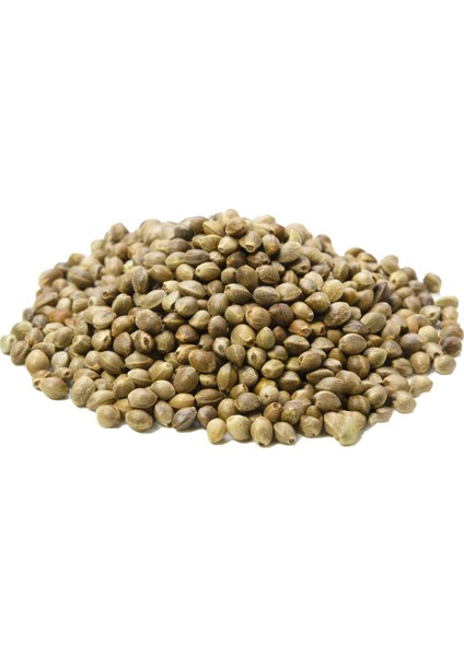3 kg Fit Yaşam Keten Tohumu Maş Fasulyesi Kendir Paketi fırsatları