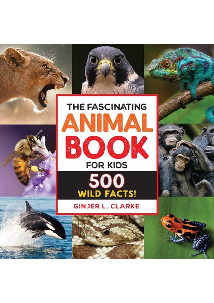 The Fascinating Animal Book For KIDS 500 Wild Facts! - Fascinating Facts