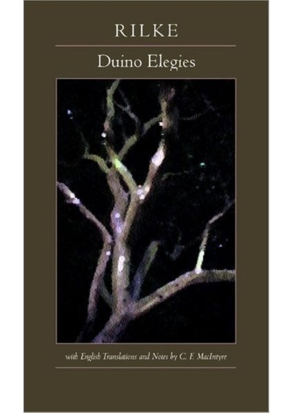 Duino Elegies : Bilingual Edition