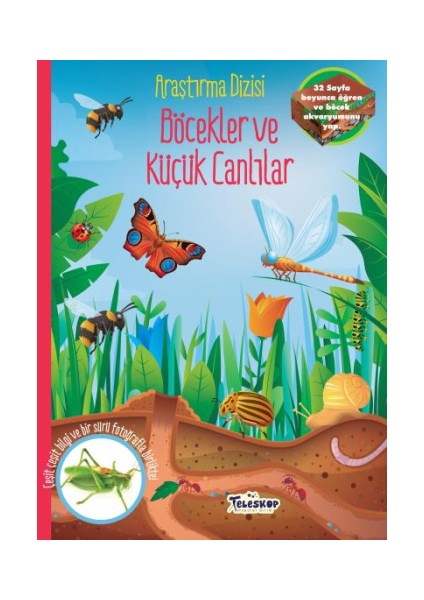 Böcekler ve Küçük Canlılar - Araştırma Dizisi