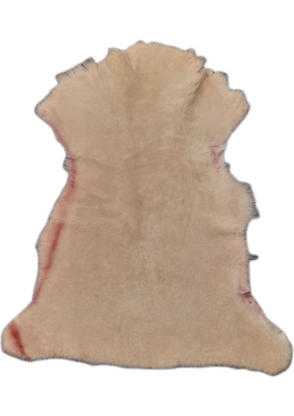 Gerçek Koyun Postu - Naturel - Kısa Tüylü - Doğal - 80X50 cm - Pembe - X1