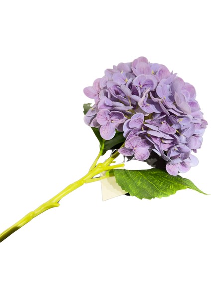 Mor Ithal Ortanca modelleri