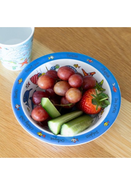 Melamin Mama Kasesi - Ocean fiyatları