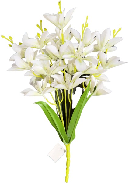 Beyaz Zambak Demeti 5'li