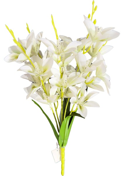 Beyaz Zambak Demeti 5'li fiyatları