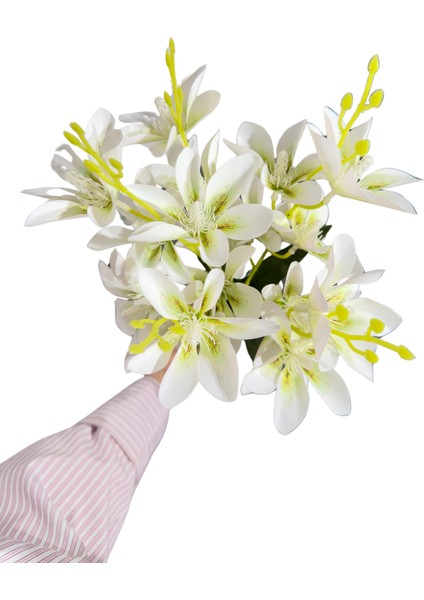 Beyaz Zambak Demeti 5'li modelleri