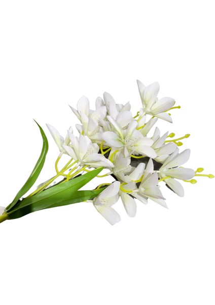 Beyaz Zambak Demeti 5'li fırsatları