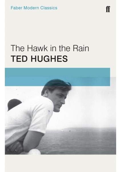 Hawk In The Rain : Faber Modern Classics
