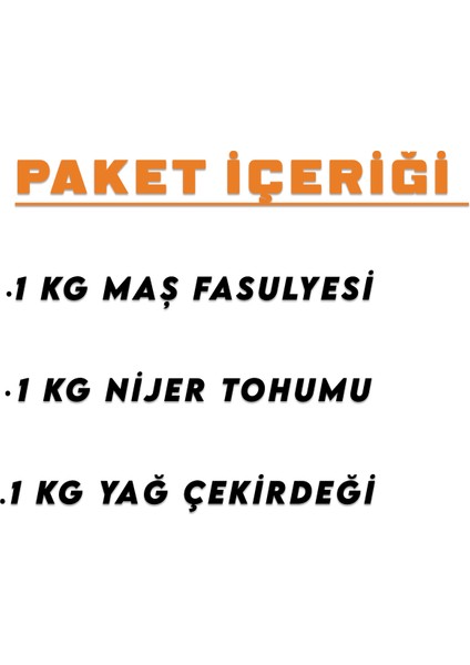 3 kg Premium Papağan Yemi Maş Fasulyesi Yağ Çekirdeği Nijer Tohumu fiyatları