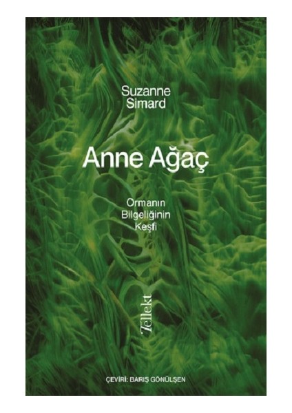 Anne Ağaç