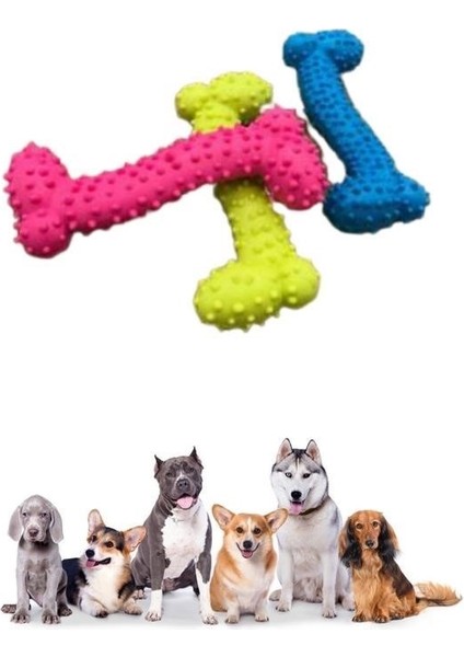 Buffer® Tiny Kemik Oyuncağı Tırtıklı Yüzey Küçük Kemik Plastik Köpek Oyuncağı