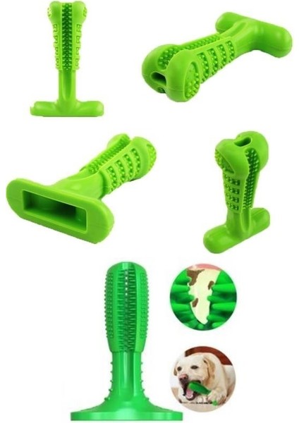 Buffer® Köpek Diş Temizleyici ve Kaşıyıcı Sağlıklı Küçük Boy Oyuncak modelleri