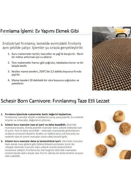 Schesir Born Carnivore Tavuk ve Yumurtalı Yetişkin Kedi Maması 1.25 kg fırsatları