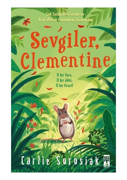 Sevgiler Clementine