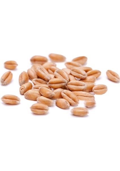 3 kg Premium Güvercin Yemi Sorgum Aspir Kara Buğday