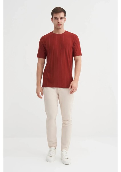 Cazador Regular Fit Bisiklet Yaka Ince Çizgili Tişört modelleri