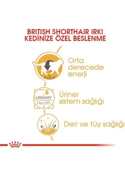 Royal Canin British Shorthair Adult Pouch Konserve Kedi Maması 85 gr