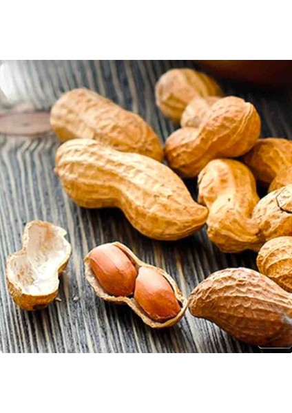Odun Ateşinde Kavrulmuş Kabuklu Yer Fıstıgı