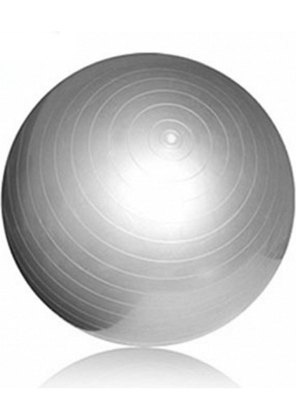75CM Mor Tarzı Yoga Topları Pilates Fitness Spor Salonu Denge Fitball Egzersiz Egzersiz Topu (Yurt Dışından) indirimleri