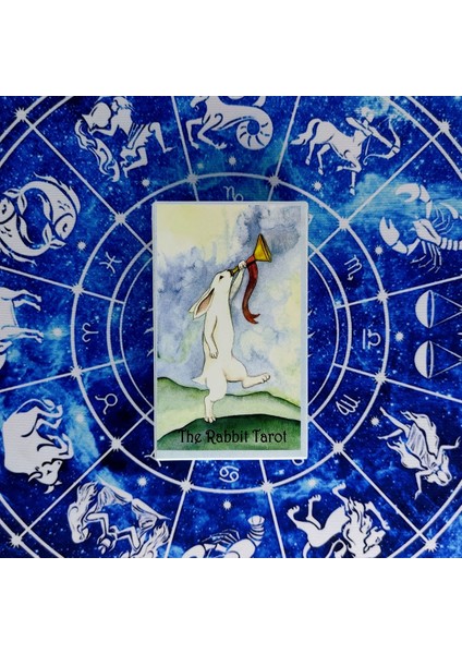 78 Adet TX292 Tarzı Yeni Tavşan Tarot Kartları Rehberlik Kehanet Güverte Eğlence Partileri Masa Oyunu Destek Kutusu (Yurt Dışından) indirimleri
