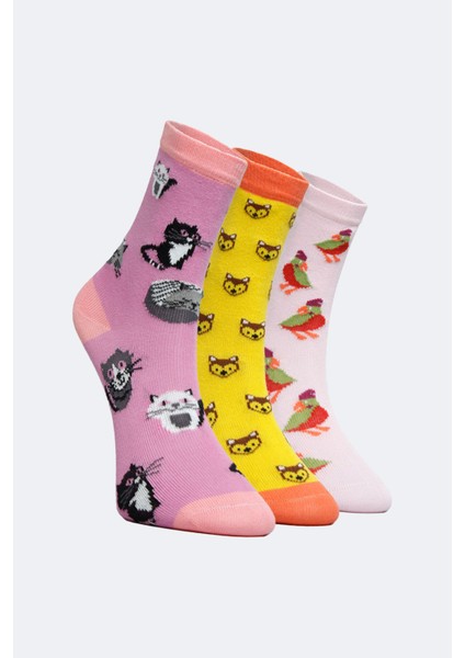 3'lü Kız Çocuk Soket Renkli Hayvanlı Çorap fiyatları