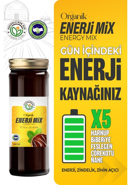 Power X5 Enerji Mix