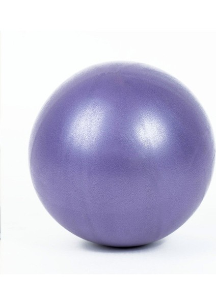 YJ23-MOR Tarzı 25 cm Anti-Basınç Patlamaya Dayanıklı Çap Yoga Egzersiz Jimnastik Salonları Yoga Denge Topu Spor Salonu Evde Eğitim Yoga Topu (Yurt Dışından)