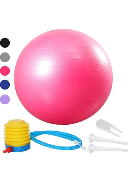 55CM Mor Top Seti Stili cm Yoga Egzersiz Topu Pilates Fitness Salonu Denge Fit Top Egzersiz Fitness Için Patlama Önleyici Kaymaya Dayanıklı Denge Topu (Yurt Dışından) fiyatları