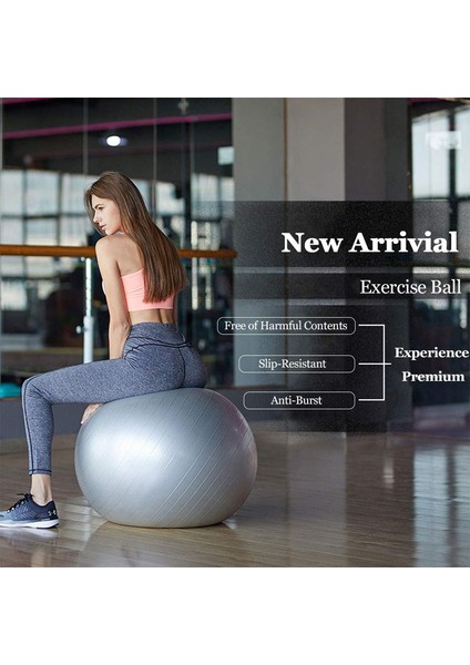 55CM Mor Top Seti Stili cm Yoga Egzersiz Topu Pilates Fitness Salonu Denge Fit Top Egzersiz Fitness Için Patlama Önleyici Kaymaya Dayanıklı Denge Topu (Yurt Dışından) modelleri