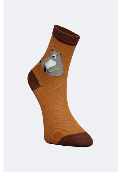 3'lü Erkek Çocuk Soket Hayvanlı Çorap fırsatları