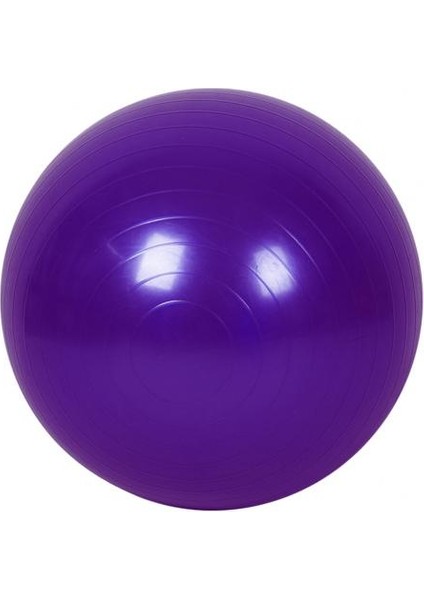 Mor Tarzı Yoga Topu Spor Fitness Topları Denge Pelota Pilates Ekipmanları Egzersiz Salonu Topu Kadınlar 45CM (Yurt Dışından)