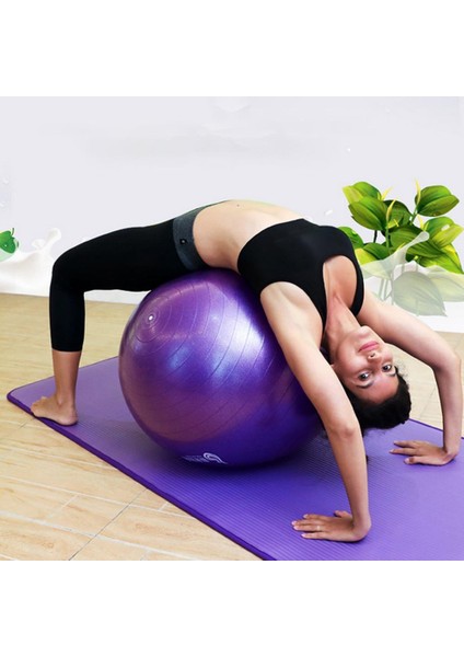 Mor Tarzı Yoga Topu Spor Fitness Topları Denge Pelota Pilates Ekipmanları Egzersiz Salonu Topu Kadınlar 45CM (Yurt Dışından) fiyatları