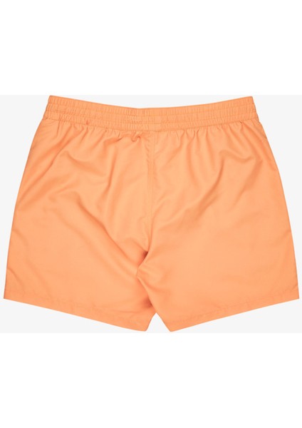 Billabong All Day Lb Erkek Mayo fiyatları