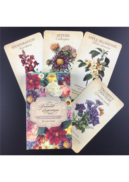 44 Adet TS80 Tarzı Ingilizce Versiyon Herbcrafter'ın Tarot Destesi Oyun Tahtası Oracle Kartları Aile Partisi Oynama (Yurt Dışından)