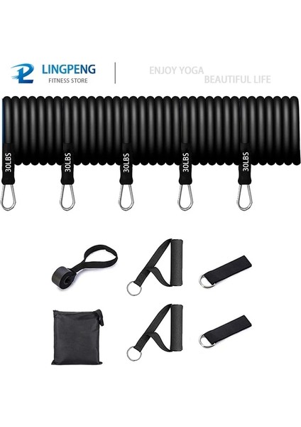 11 Parça Erkek Plus Set Stili Tam Vücut Egzersizi Taşınabilir Hepsi Bir Arada Fitness Bar Seti Güç Egzersizleri Ekipmanları Pilates Egzersiz Direnç Bandı Ev Spor Salonu (Yurt Dışından)
