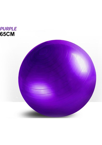 65CM Mor Tarzı 25CMCMCMCM Denge Yoga Topu Egzersiz Ev Fitness Topu Yoga Pilates Eğitimi Spor Ekipmanları Kadın Için (Yurt Dışından)
