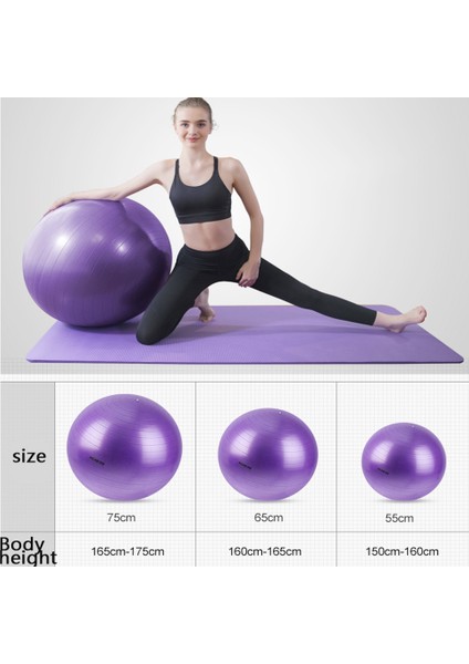 75 cm Mavi Stil Yoga Topu 75CM 65CM 55CM Pompa Seti ile Fitness Denge Topları Ev Pilates Masaj Topu Eğitimi Spor Salonu Egzersizi Yoga Topu Seti (Yurt Dışından) modelleri