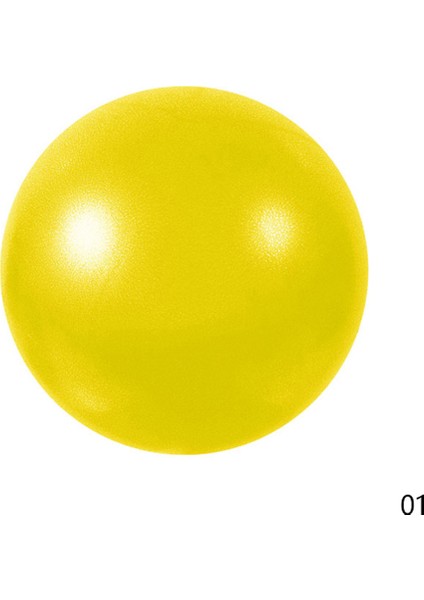 No.1 Tarzı 25 cm Anti-Basınç Patlamaya Dayanıklı Çap Yoga Egzersiz Jimnastik Salonları Yoga Denge Topu Spor Salonu Evde Eğitim Yoga Topu (Yurt Dışından)