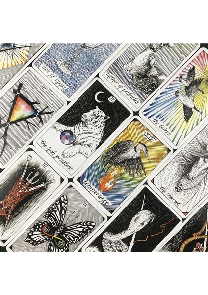 78 Adet TT17 Tarzı Vahşi Bilinmeyen Tarot Güverte Kartı Komik Çocuk Yetişkin Masa Oyunu Kartı Gizem Tarot Poker Seti (Yurt Dışından) indirimleri