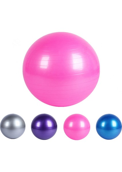 Mavi Stil 55CM Yoga Topları Fitness Programı Yoga Topları Pilates Dengesi Spor Fitball Prova Topları Fitness Treni Için Kaymaz (Yurt Dışından) fiyatları
