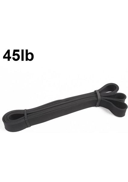 45 Lb Tarzı Direnç Bantları Egzersiz Gücü Ağırlık Eğitimi Fitness Yoga Lateks Pull-Up Direnç Bandı (Yurt Dışından)