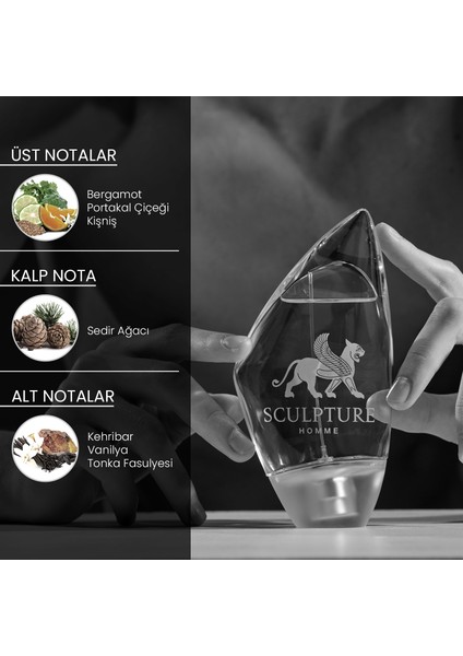 Erkek EDT 100 ml
