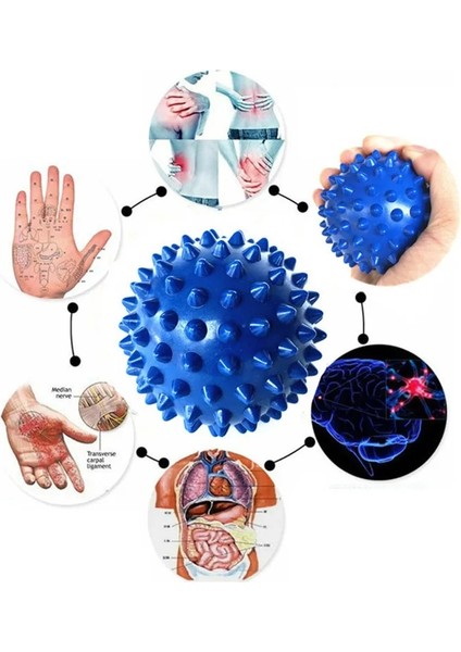 Gök Mavisi Tarzı Tpe Lakros Topu Fitness Rahatlatmak Spor Salonu Tetik Noktası Masaj Topu Eğitimi Fasya Hokey Topu Masaj Topu (Yurt Dışından)